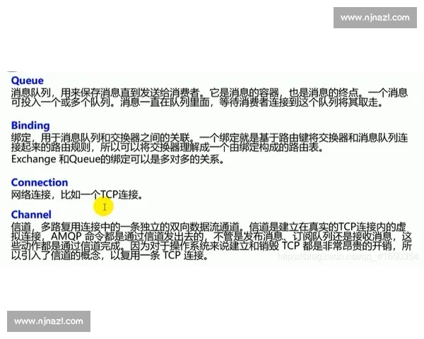 柔道VS摔跤规则技术历史差异与实战价值全面解析对比研究指南